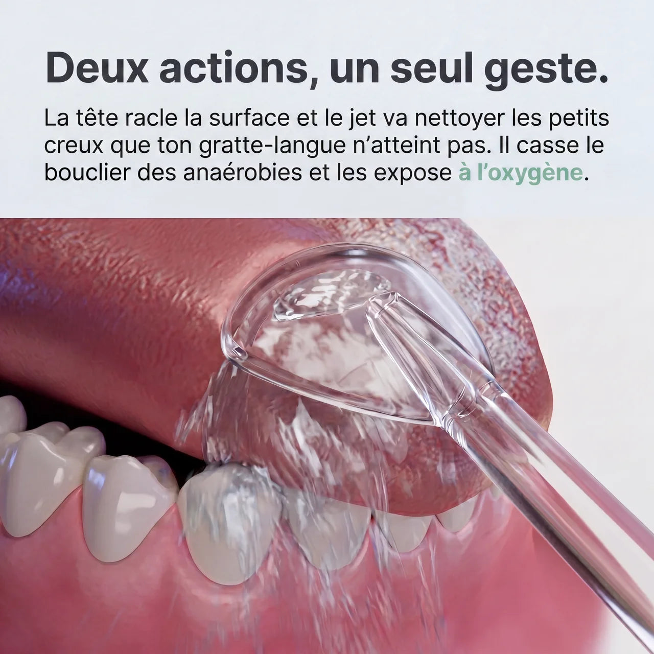 Hydropulseur Oxène